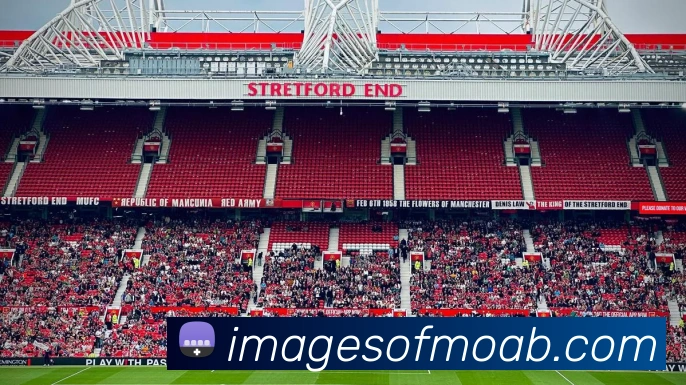 APP界面展示